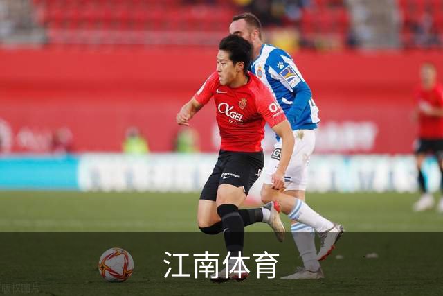江南体育公司简介展示图